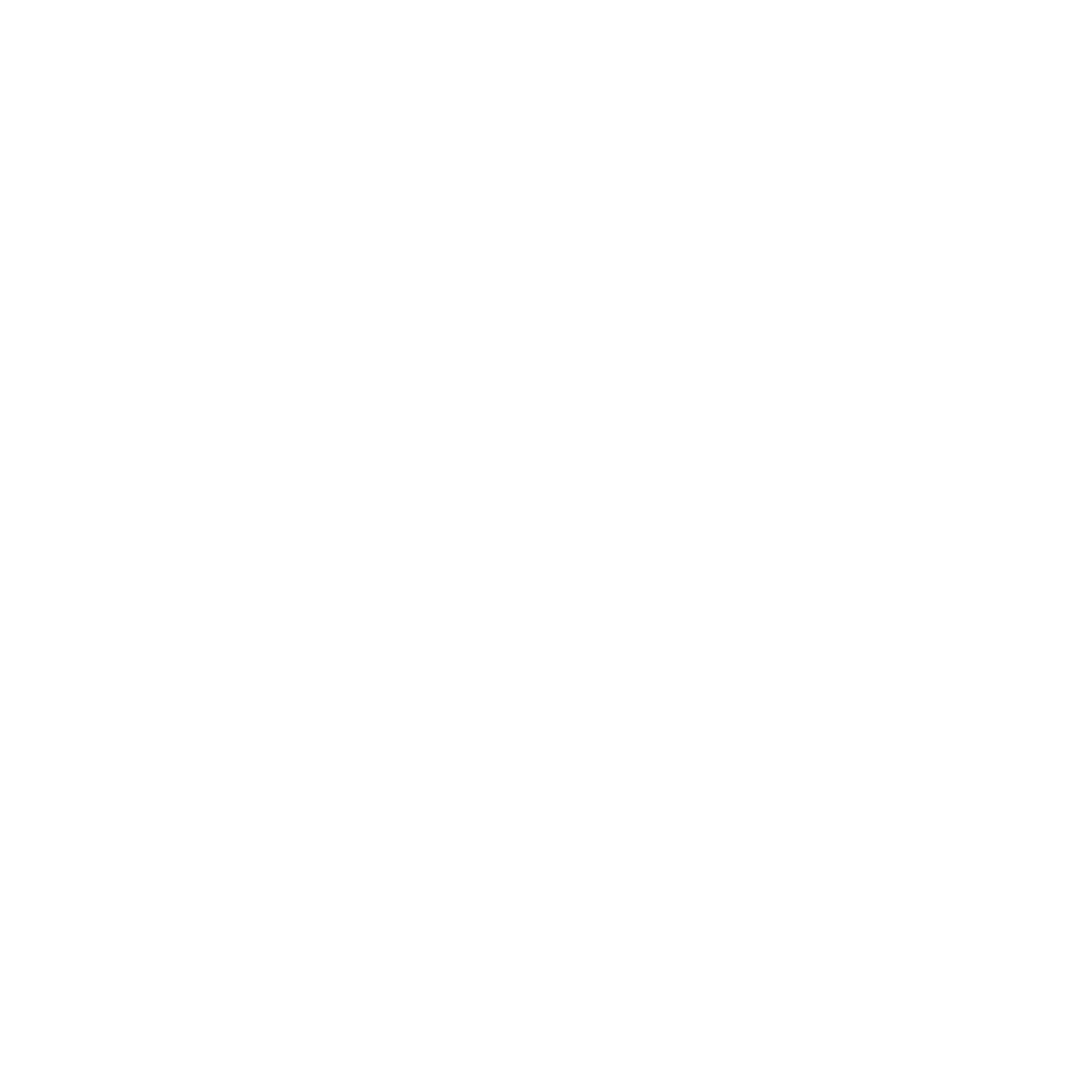Rolex perpetual planet